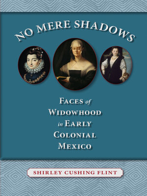 cover image of No Mere Shadows